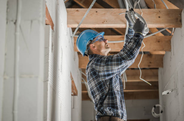 Best Circuit Breaker Repair  in Princeton, IL