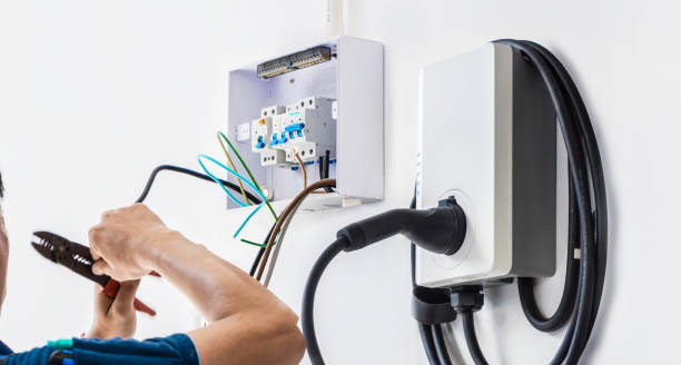 Best Electric Panel Repair  in Princeton, IL