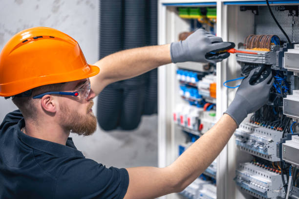 Best Electrical Upgrades for Homes  in Princeton, IL