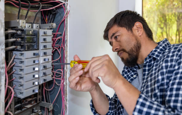 Best Electrical Troubleshooting Services  in Princeton, IL